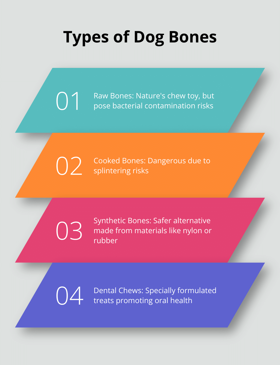 Chart listing four main types of dog bones: Raw Bones, Cooked Bones, Synthetic Bones, and Dental Chews - dog bone health