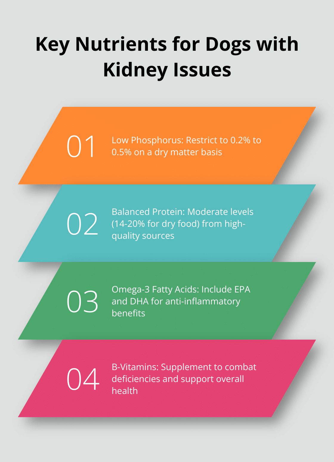 Ordered list chart showing four essential nutrients for dogs with kidney problems: Low Phosphorus, Balanced Protein, Omega-3 Fatty Acids, and B-Vitamins