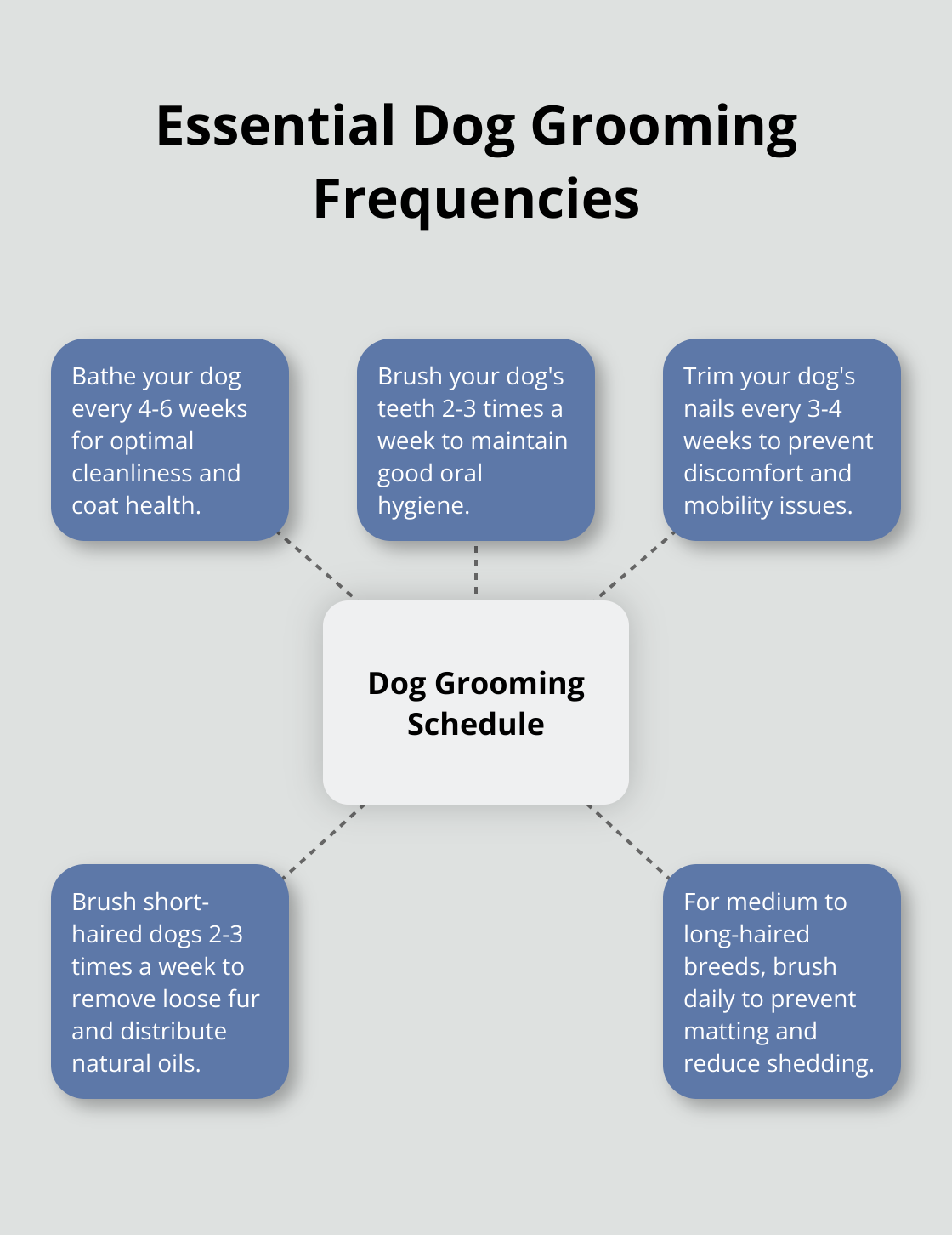 Hub and spoke chart showing recommended frequencies for various dog grooming tasks - dog grooming tips for beginners