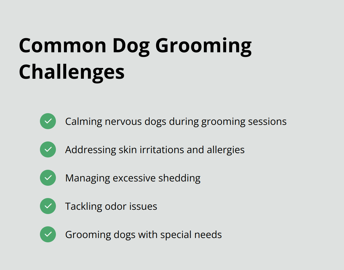 Checkmark list of common dog grooming challenges including nervous dogs, skin irritations, excessive shedding, odor issues, and special needs
