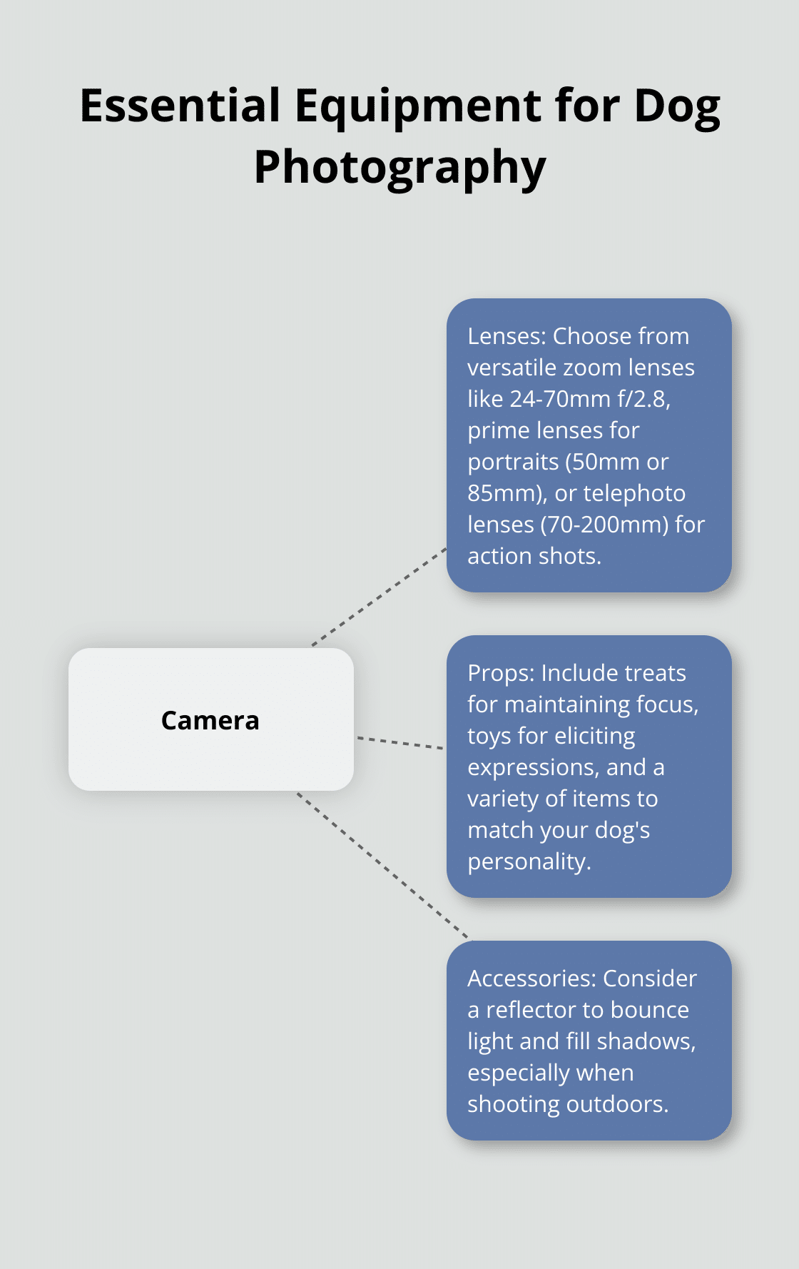 A hub-and-spoke chart showing essential equipment for dog photography: camera at the center, with spokes for lenses, props, and accessories.