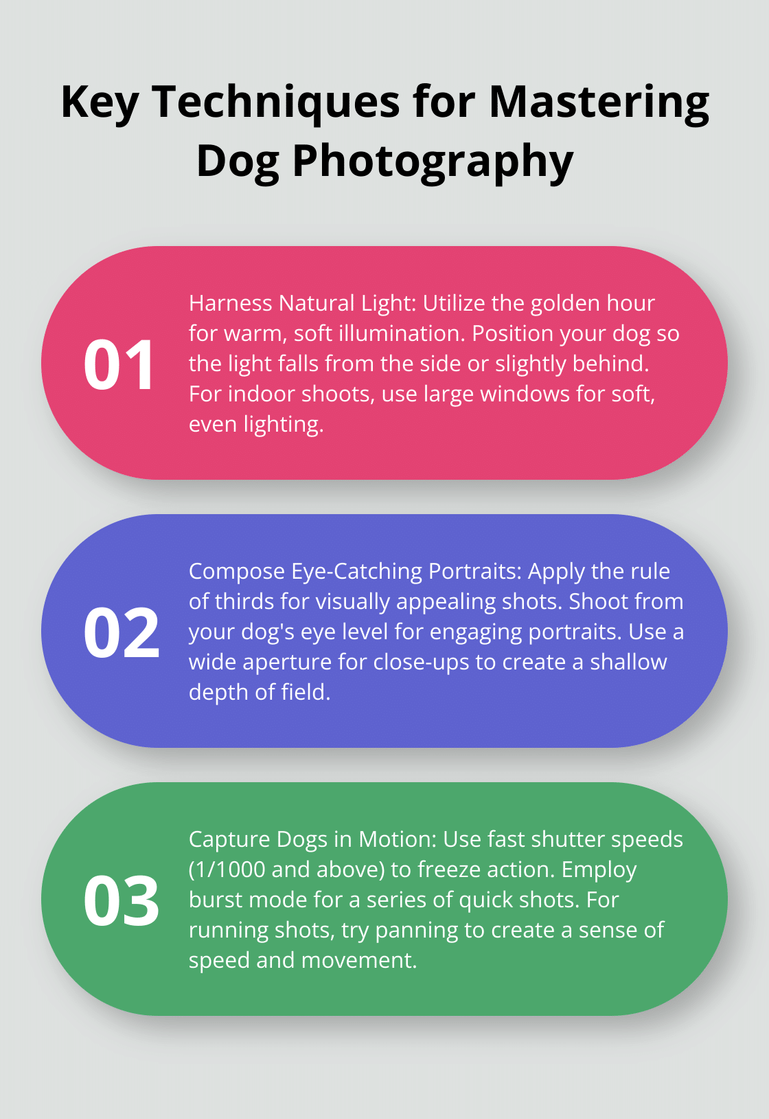 An ordered list chart showing three key techniques for mastering dog photography: harnessing natural light, composing eye-catching portraits, and capturing dogs in motion. - dog photography tips
