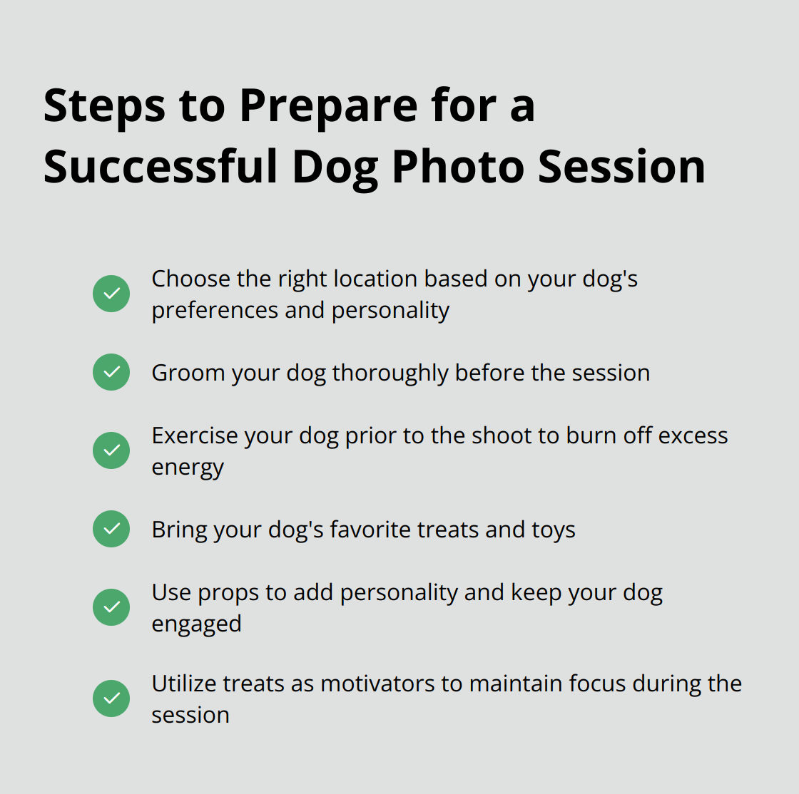 A checkmark list chart showing steps to prepare for a successful dog photo session, including choosing the right location, preparing the dog, managing challenging scenarios, and using props and treats effectively. - dog photography tips