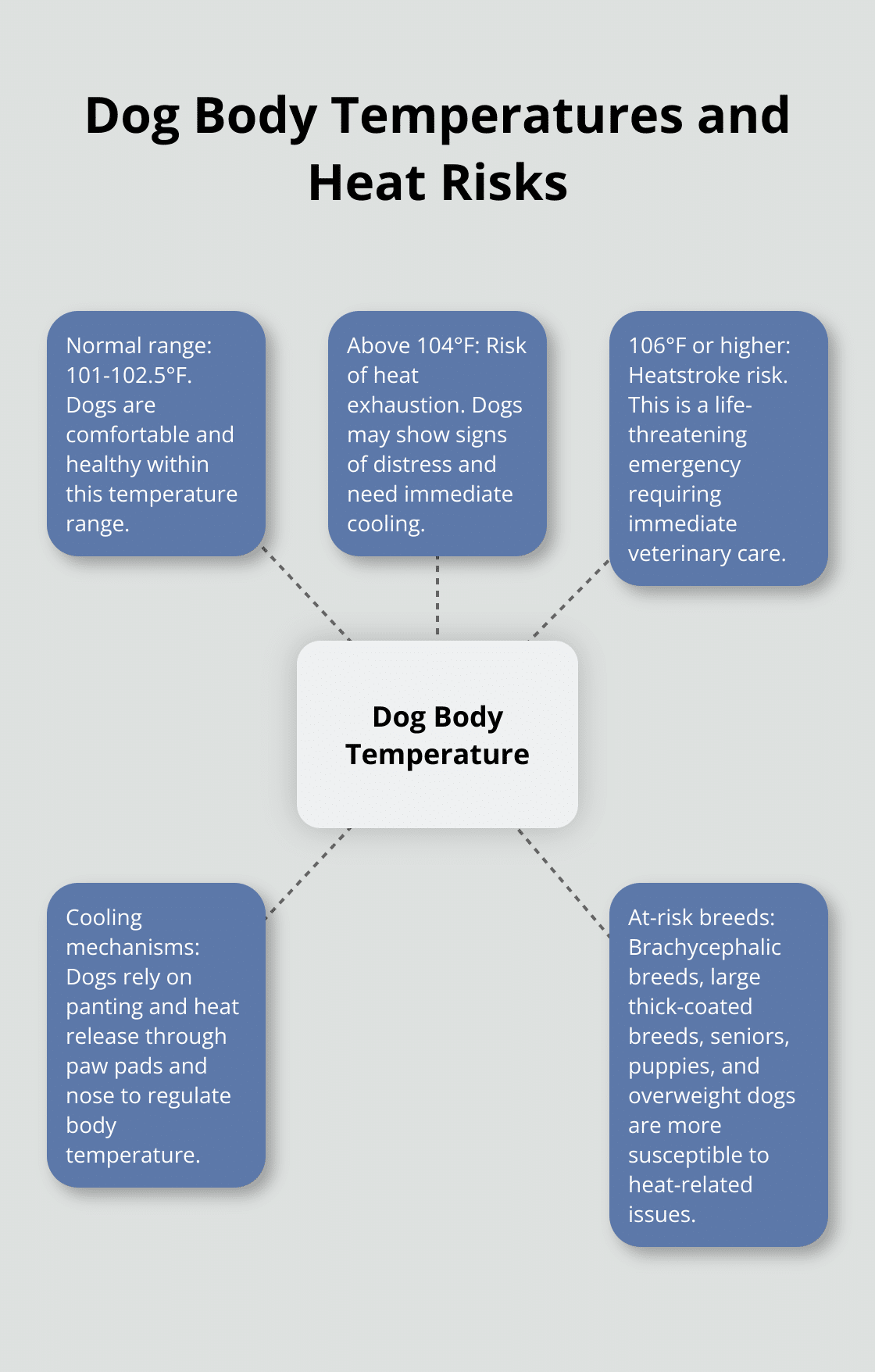 Chart showing normal and dangerous body temperatures for dogs, with associated heat-related risks