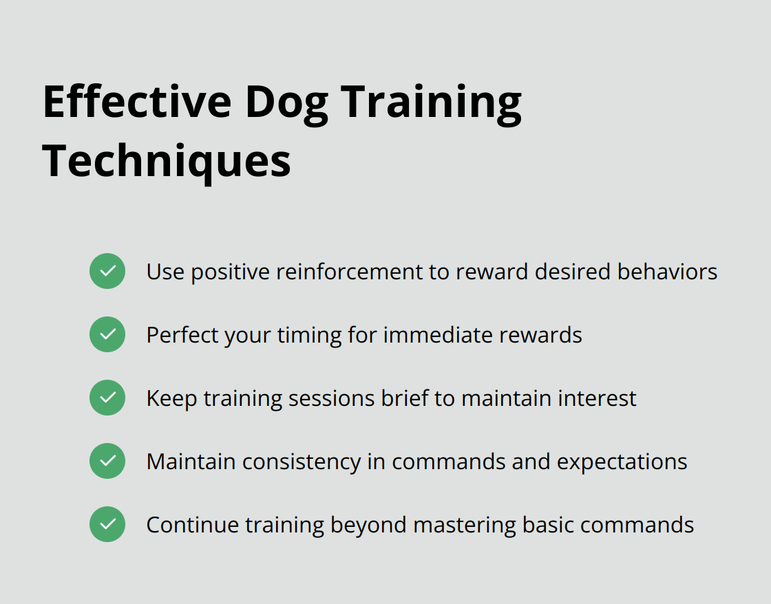 Checkmark list of 5 effective dog training techniques: positive reinforcement, timing, brief sessions, consistency, and continuous training - dog training tips for beginners at home