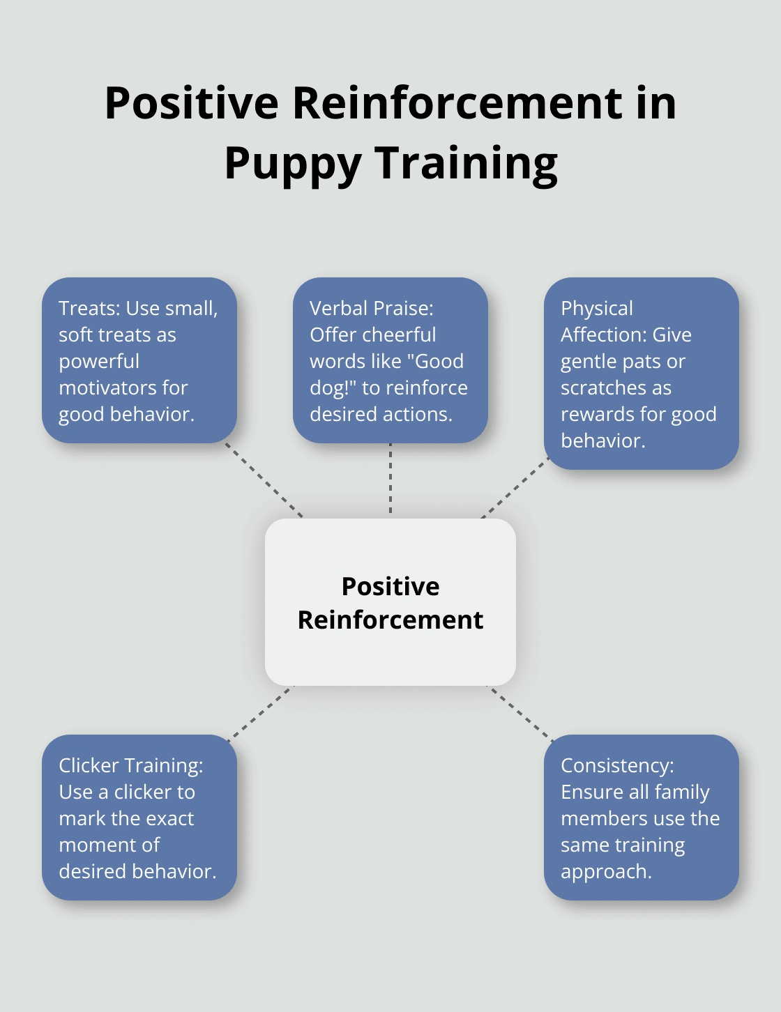 Hub and spoke chart illustrating positive reinforcement techniques in puppy training, including treats, praise, and clicker training.
