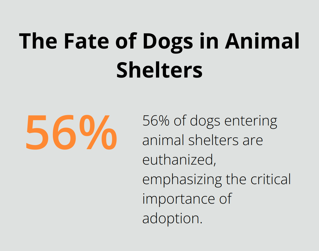 Chart showing 56% of dogs in animal shelters are euthanized - dogs that you can adopt