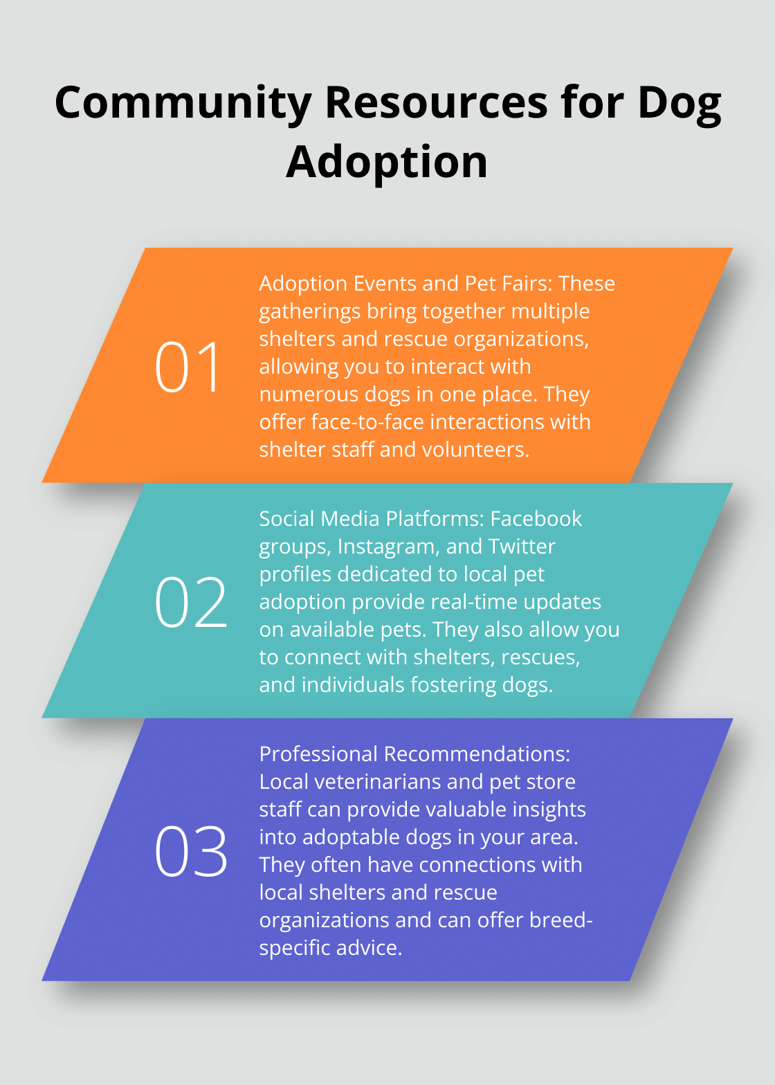 Ordered list of three community resources for finding adoptable dogs: adoption events, social media, and professional recommendations - dogs that you can adopt