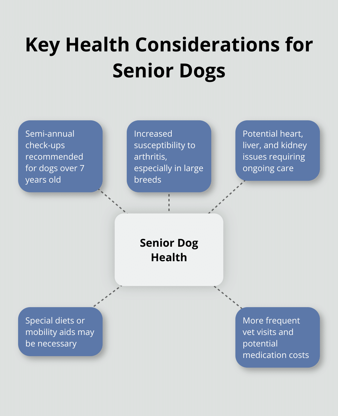 Hub and spoke chart showing important health factors for senior dogs - good dogs for seniors to adopt