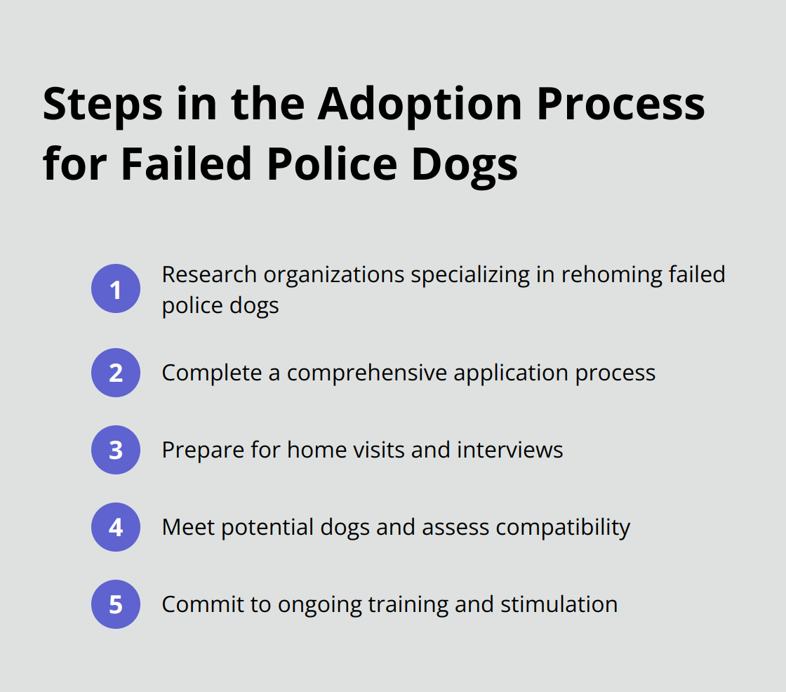 An ordered list of five steps in the adoption process for failed police dogs: research organizations, complete the application, prepare for home visits and interviews, meet potential dogs, and commit to ongoing training. - how to adopt failed police dogs