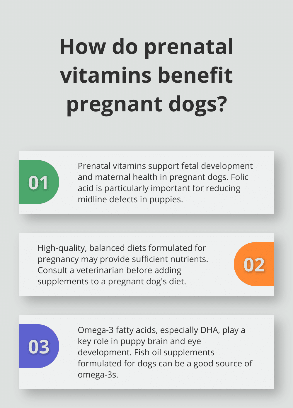 Infographic: How do prenatal vitamins benefit pregnant dogs? - dog pregnancy nutrition