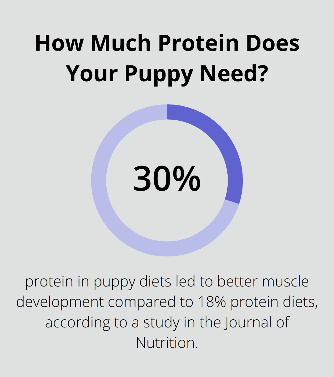 Infographic: How Much Protein Does Your Puppy Need? - puppy dog care