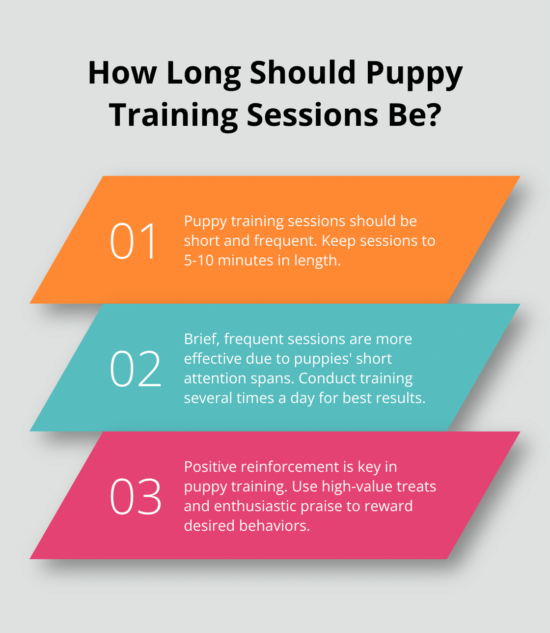 Infographic: How Long Should Puppy Training Sessions Be?