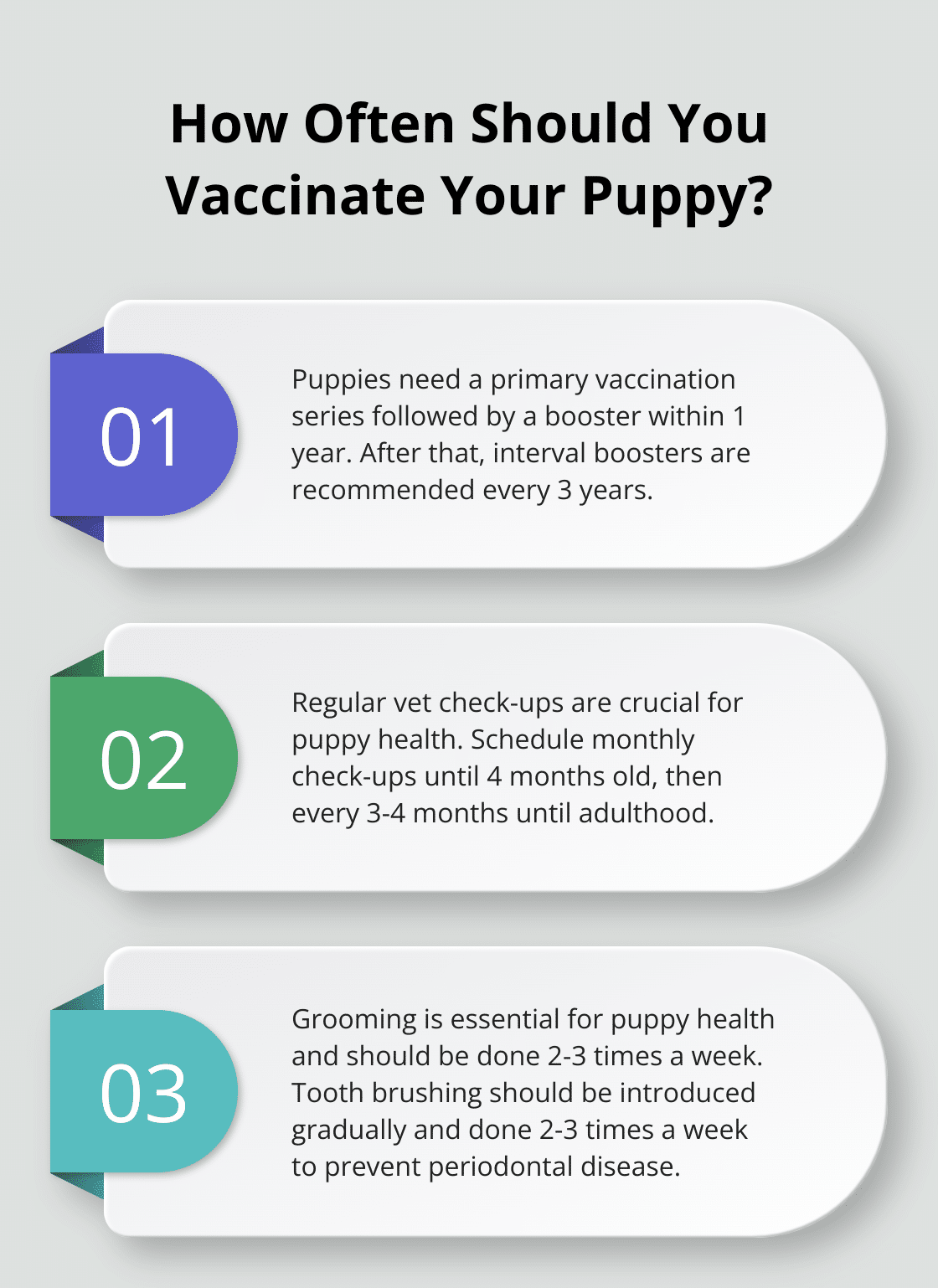 Infographic: How Often Should You Vaccinate Your Puppy? - puppy dog care