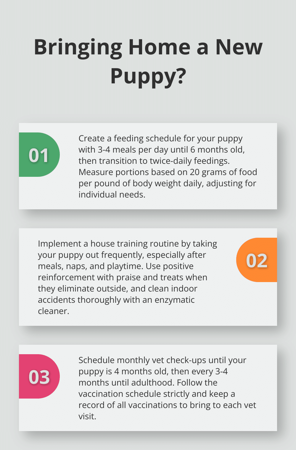 Infographic: Bringing Home a New Puppy?