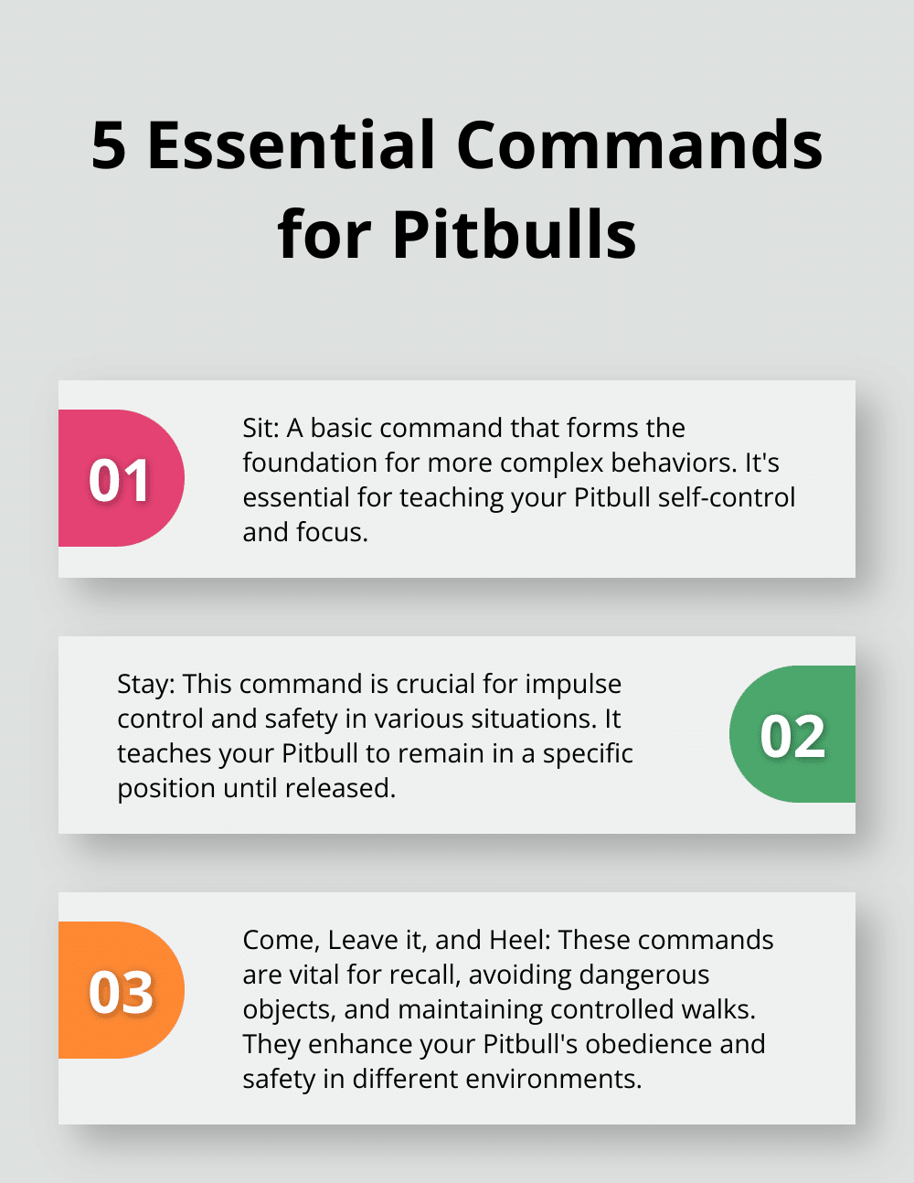 Ordered list of 5 essential commands for Pitbulls: Sit, Stay, Come, Leave it, and Heel