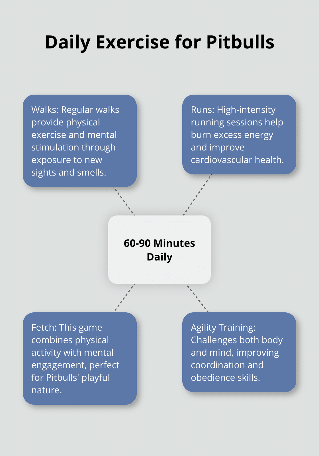 Hub and spoke chart showing 60-90 minutes of daily exercise for Pitbulls with various activity options - pitbull dog training tips