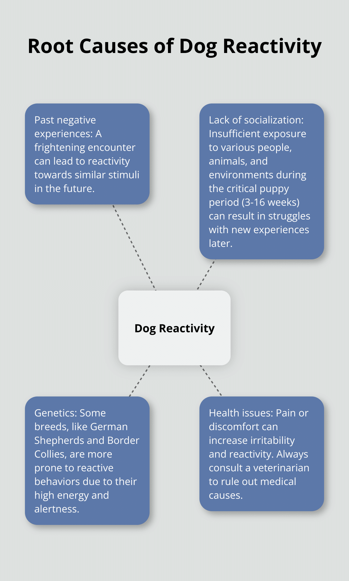 Hub and spoke diagram showing four main causes of dog reactivity: past negative experiences, lack of socialization, genetics, and health issues - reactive dog training tips