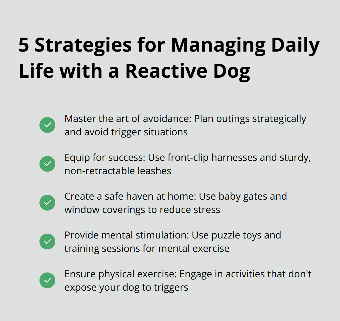 Checkmark list showing five strategies for managing daily life with a reactive dog: master avoidance, use proper equipment, create a safe home environment, provide mental stimulation, and ensure physical exercise - reactive dog training tips