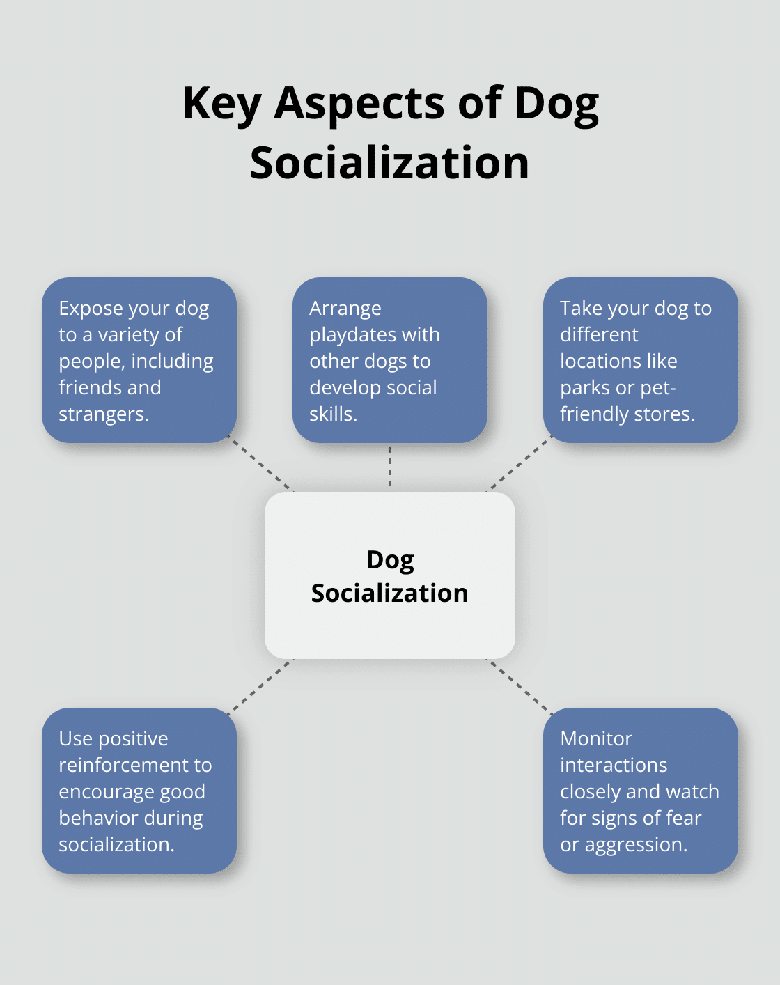 A hub and spoke chart showing various aspects of dog socialization: exposure to people, interaction with other dogs, experiencing different environments, positive reinforcement, and monitoring for fear or aggression.