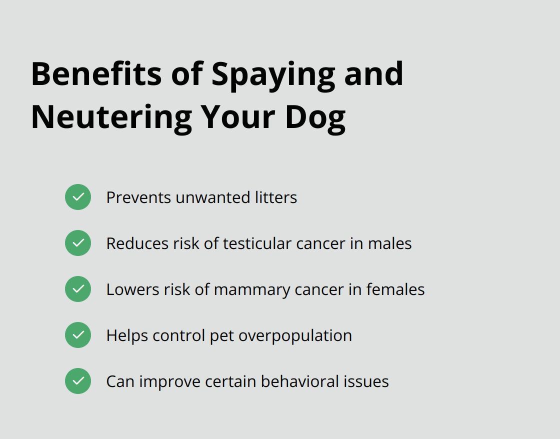 A checklist of benefits of spaying and neutering dogs: prevents unwanted litters, reduces risk of certain cancers, helps control pet overpopulation, and can improve behavior. - tips for dog owners