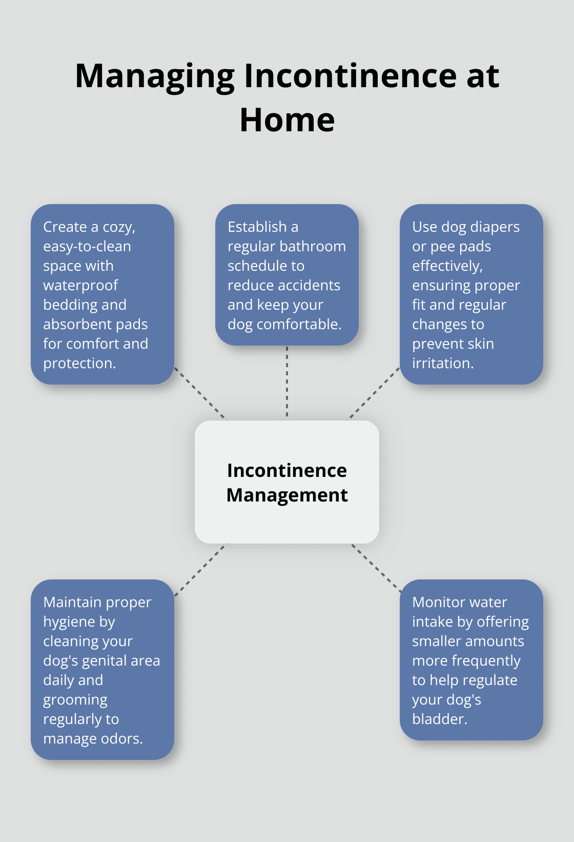 Hub and spoke chart showing key strategies for managing dog incontinence at home - tips on dealing with old dog incontinence