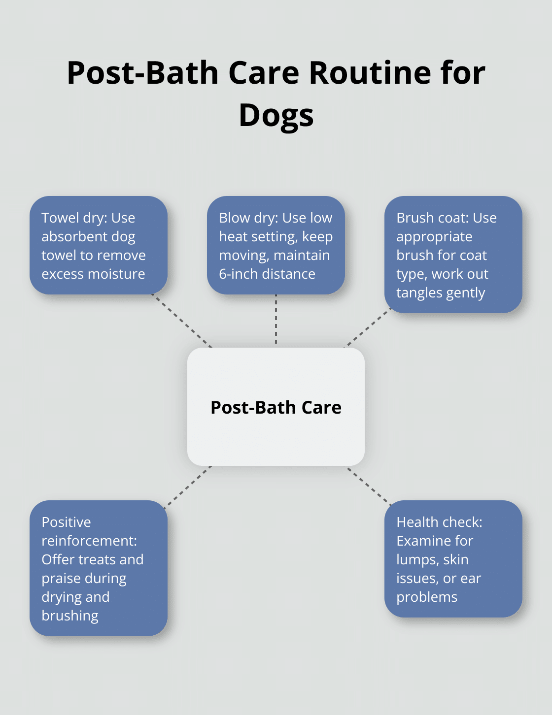 Hub and spoke chart showing post-bath care routine for dogs with 5 steps: towel dry, blow dry, brush coat, positive reinforcement, and health check.