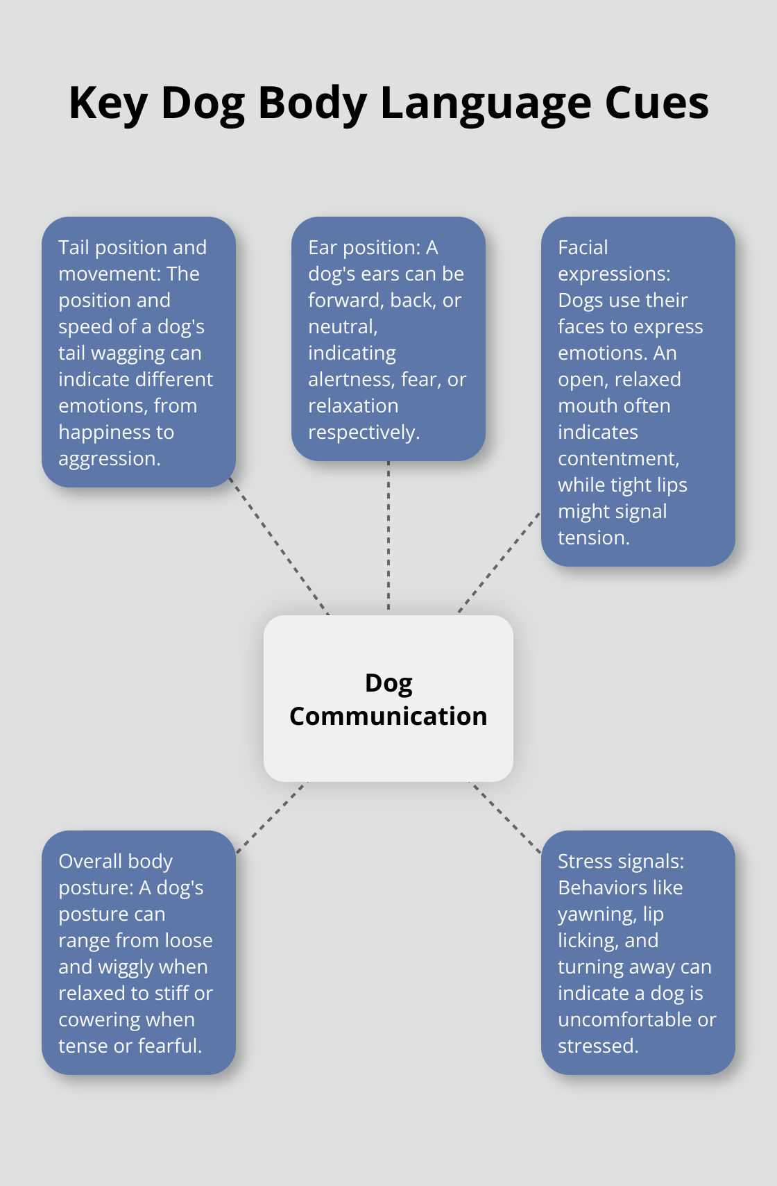 A hub and spoke chart showing five key aspects of dog body language: tail position and movement, ear position, facial expressions, overall body posture, and stress signals. - dog bite prevention tips