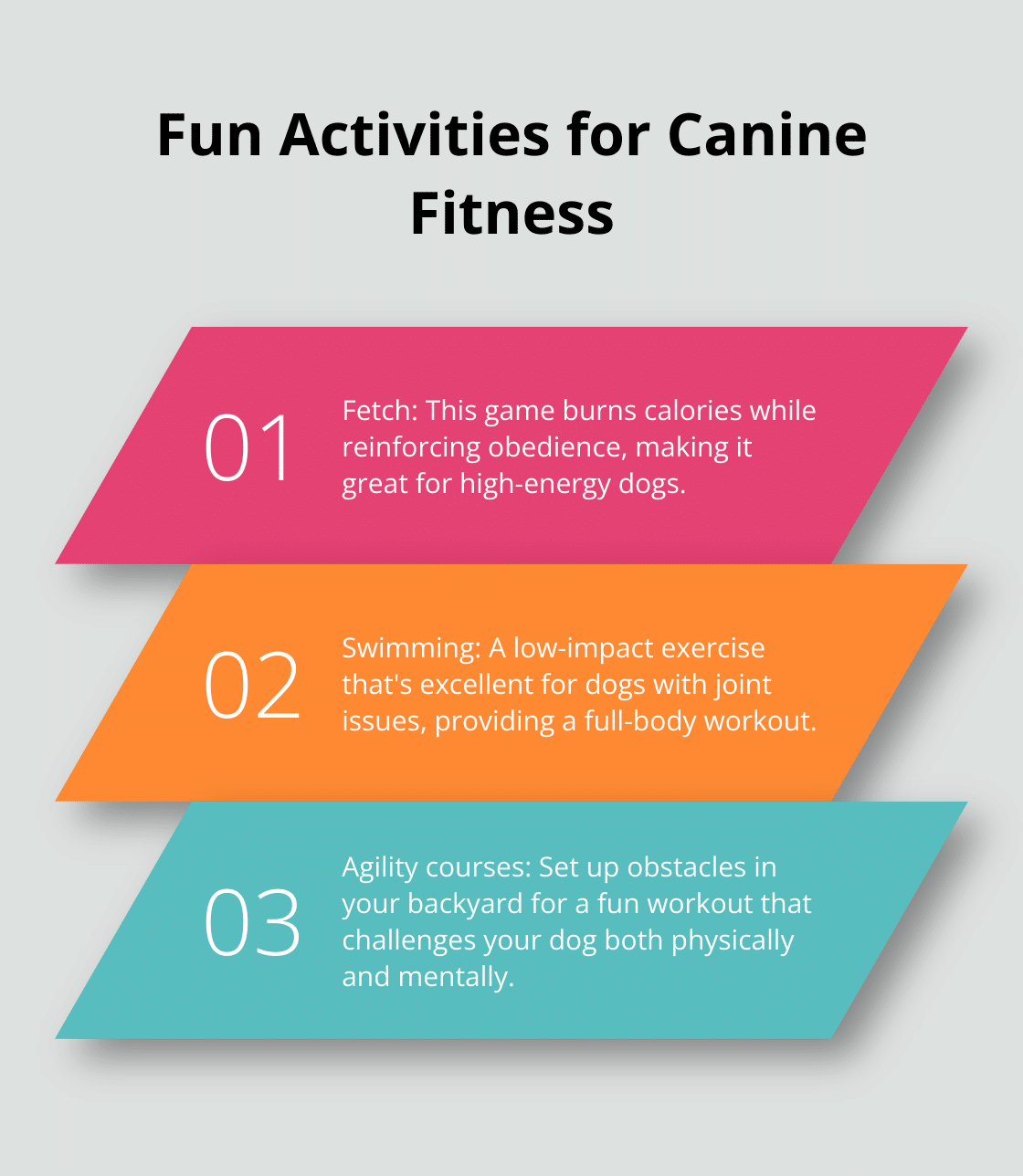 Ordered list of three fun exercise activities for dogs: Fetch, Swimming, and Agility courses