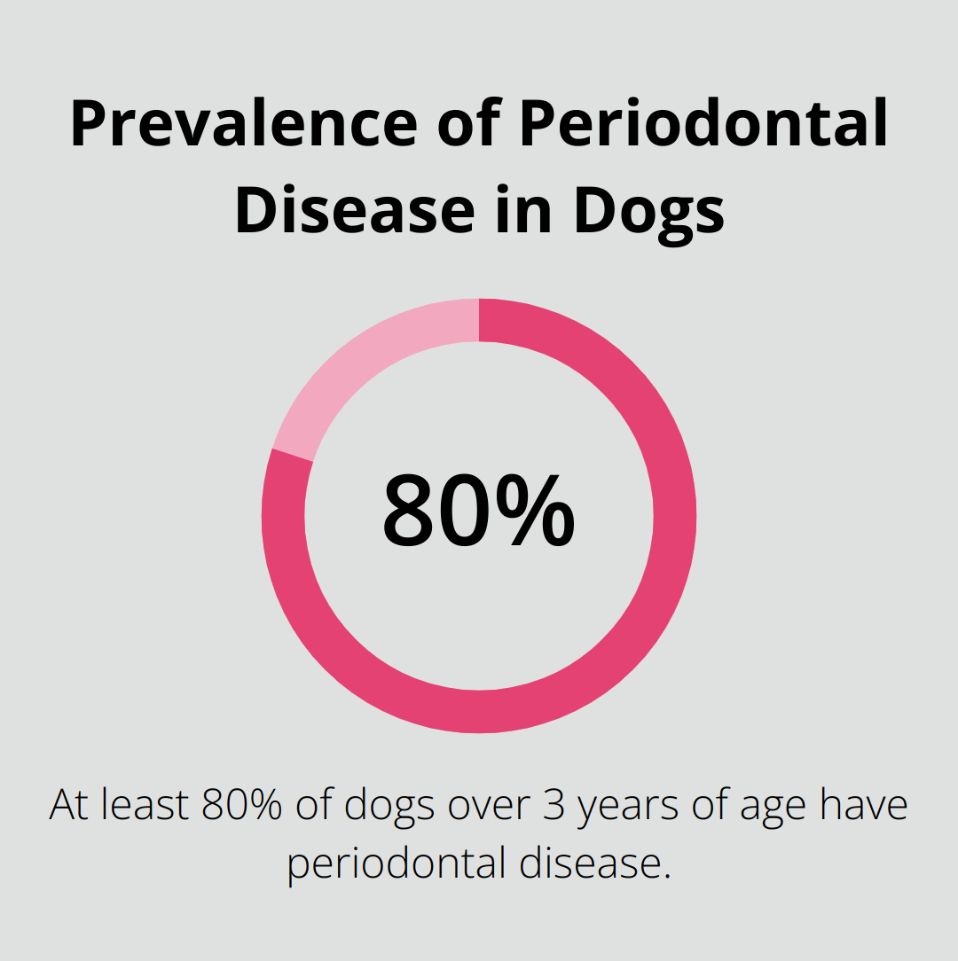 Chart showing that 80% of dogs over 3 years of age have periodontal disease - dog care tips