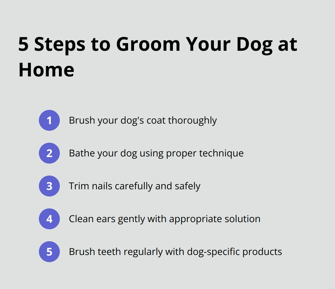 Ordered list of 5 steps for at-home dog grooming: brushing, bathing, nail trimming, ear cleaning, and teeth brushing - dog groomer tips and tricks