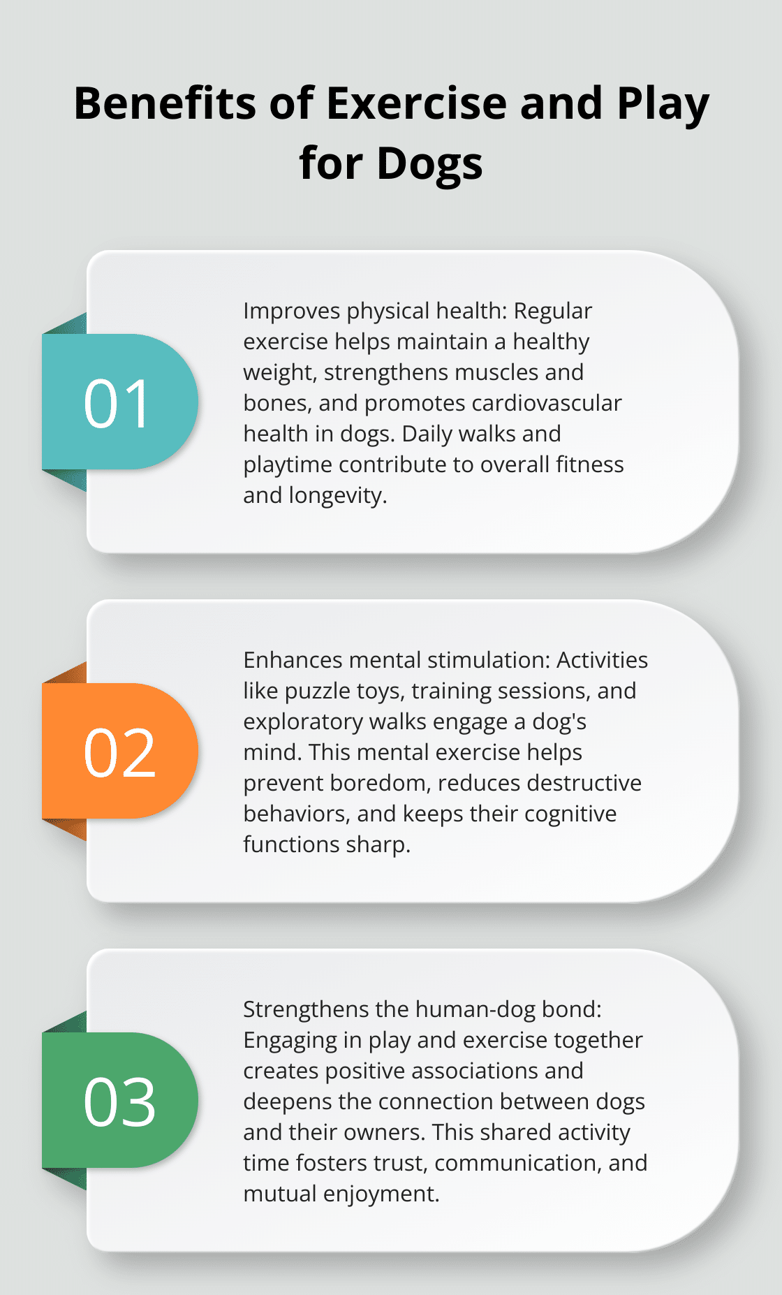 Chart listing three key benefits of exercise and play for dogs: physical health, mental stimulation, and bonding with owners