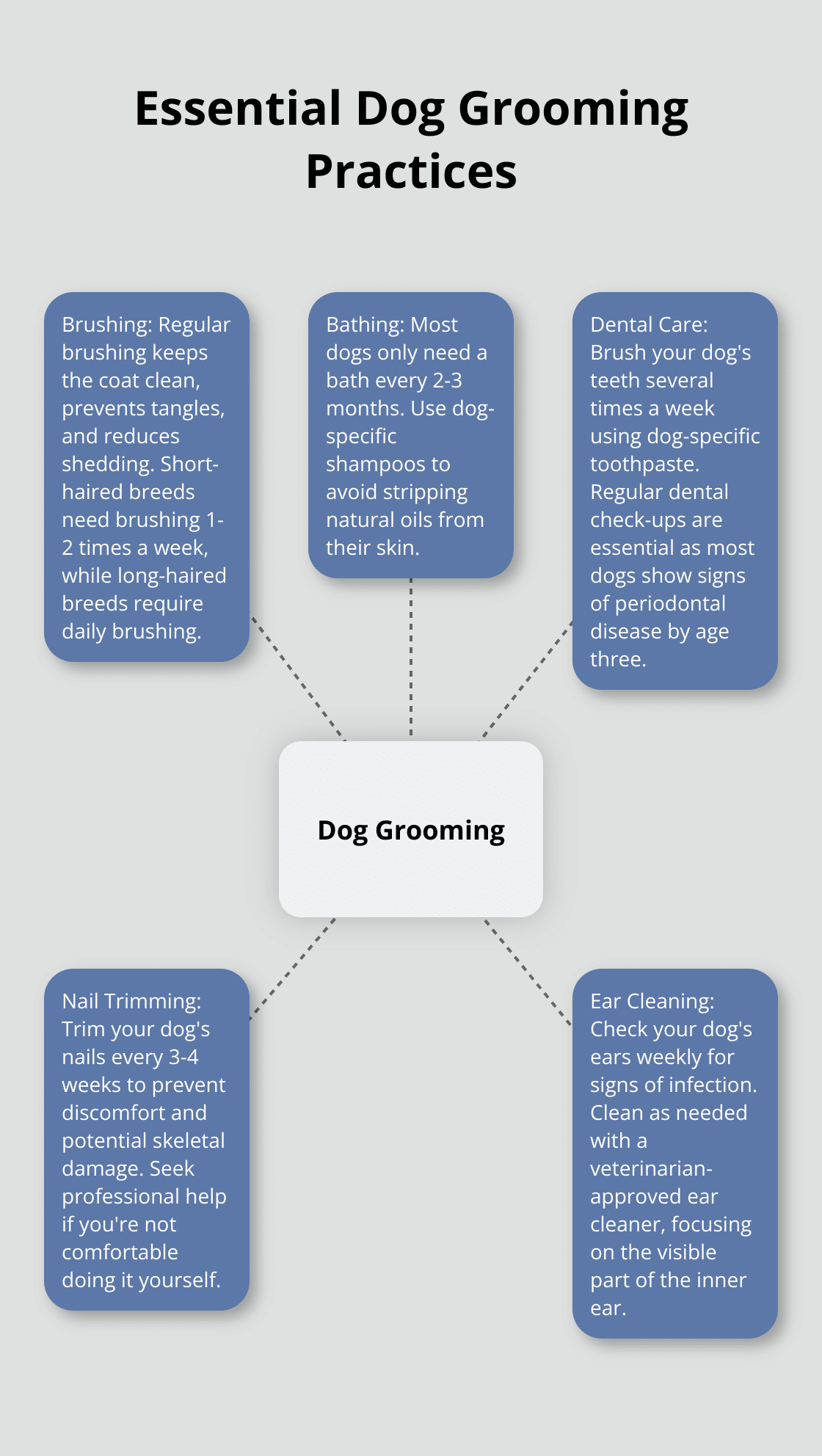 Hub and spoke chart illustrating five key aspects of dog grooming: brushing, bathing, dental care, nail trimming, and ear cleaning - dog maintenance tips