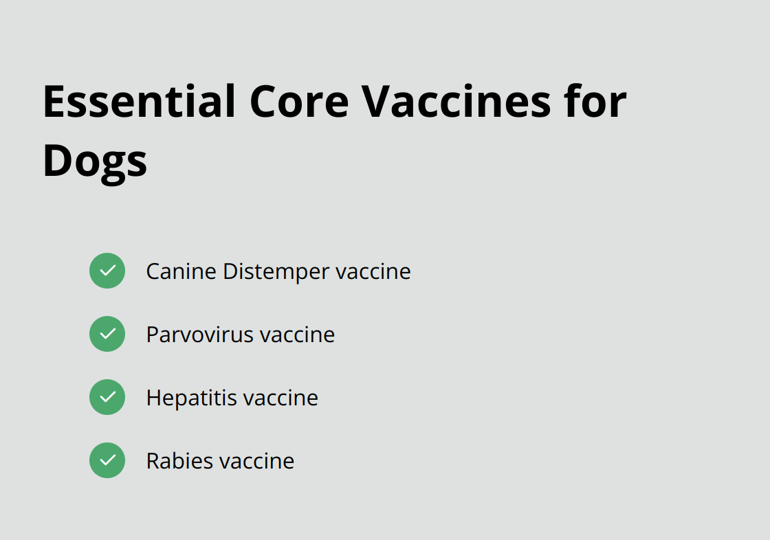 Checklist of core vaccines for dogs: Canine Distemper, Parvovirus, Hepatitis, and Rabies - dog park safety tips
