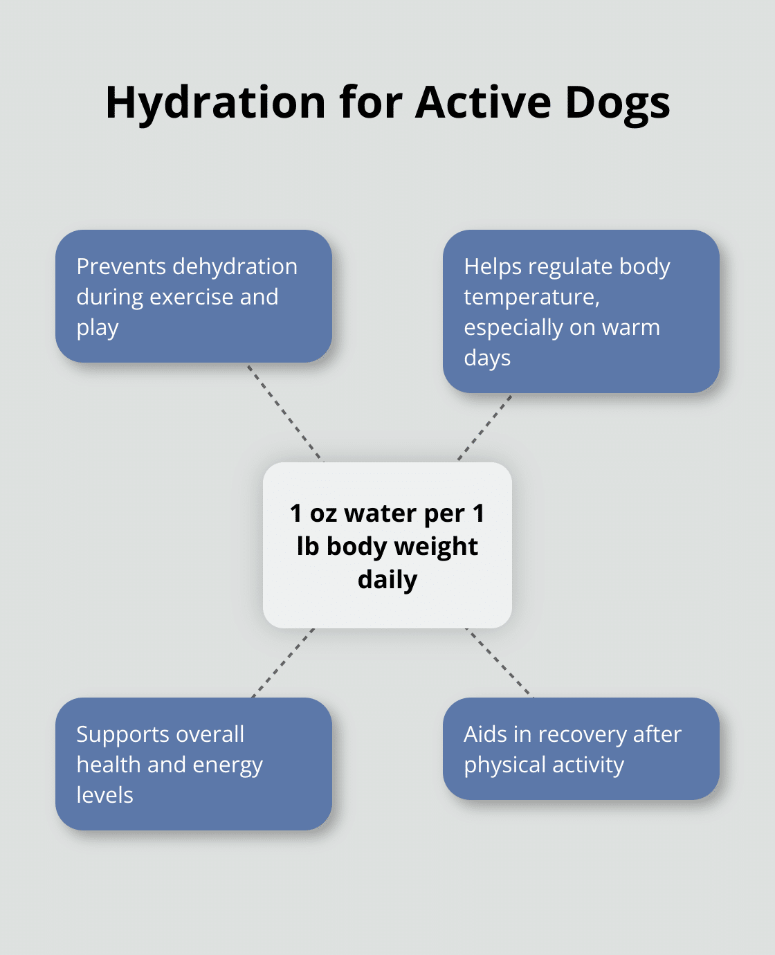Hub and spoke chart showing the importance of water intake for active dogs, with the central concept being '1 oz water per 1 lb body weight daily' - dog park safety tips