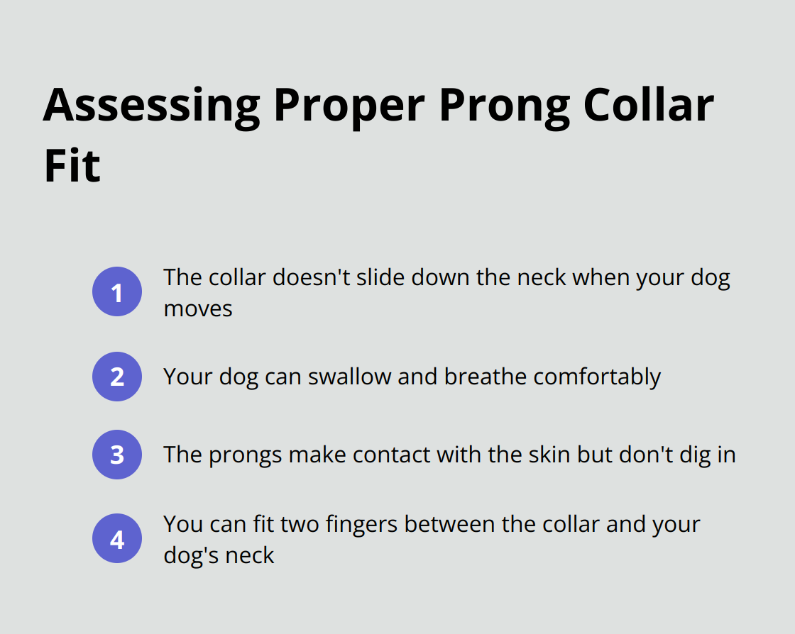 Ordered list of four steps to assess the proper fit of a prong collar: collar doesn't slide down, comfortable breathing and swallowing, prongs make contact without digging in, and two-finger space between collar and neck. - dog prong collar with rubber tips