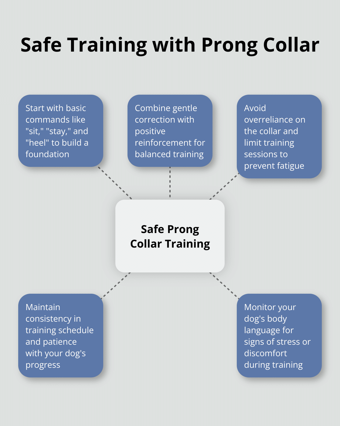 Hub and spoke chart showing key points for safe training with a prong collar: Start with basic commands, Combine correction with positive reinforcement, Avoid common mistakes, Maintain consistency and patience, Monitor dog's response.
