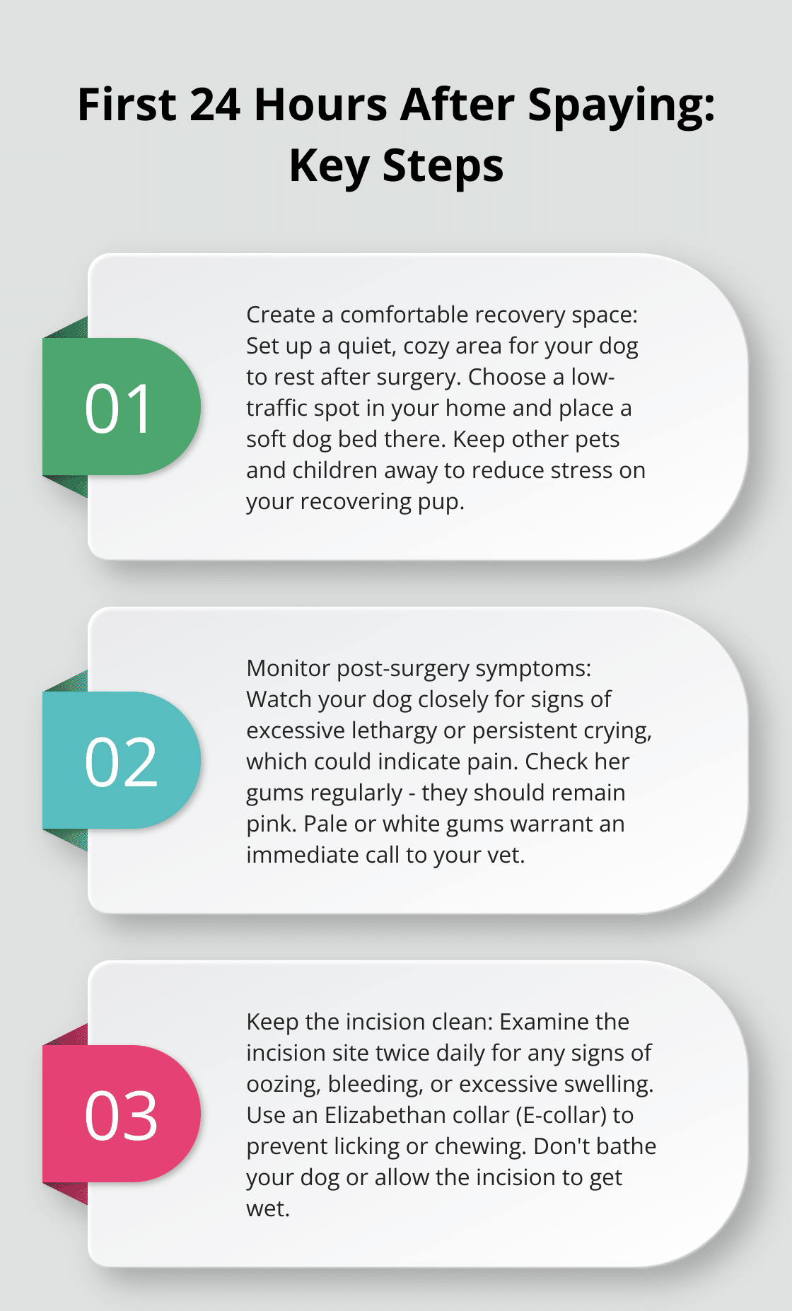 Ordered list of 3 key steps to follow in the first 24 hours after spaying your dog: create a comfortable recovery space, monitor post-surgery symptoms, and keep the incision clean. - dog spay recovery tips