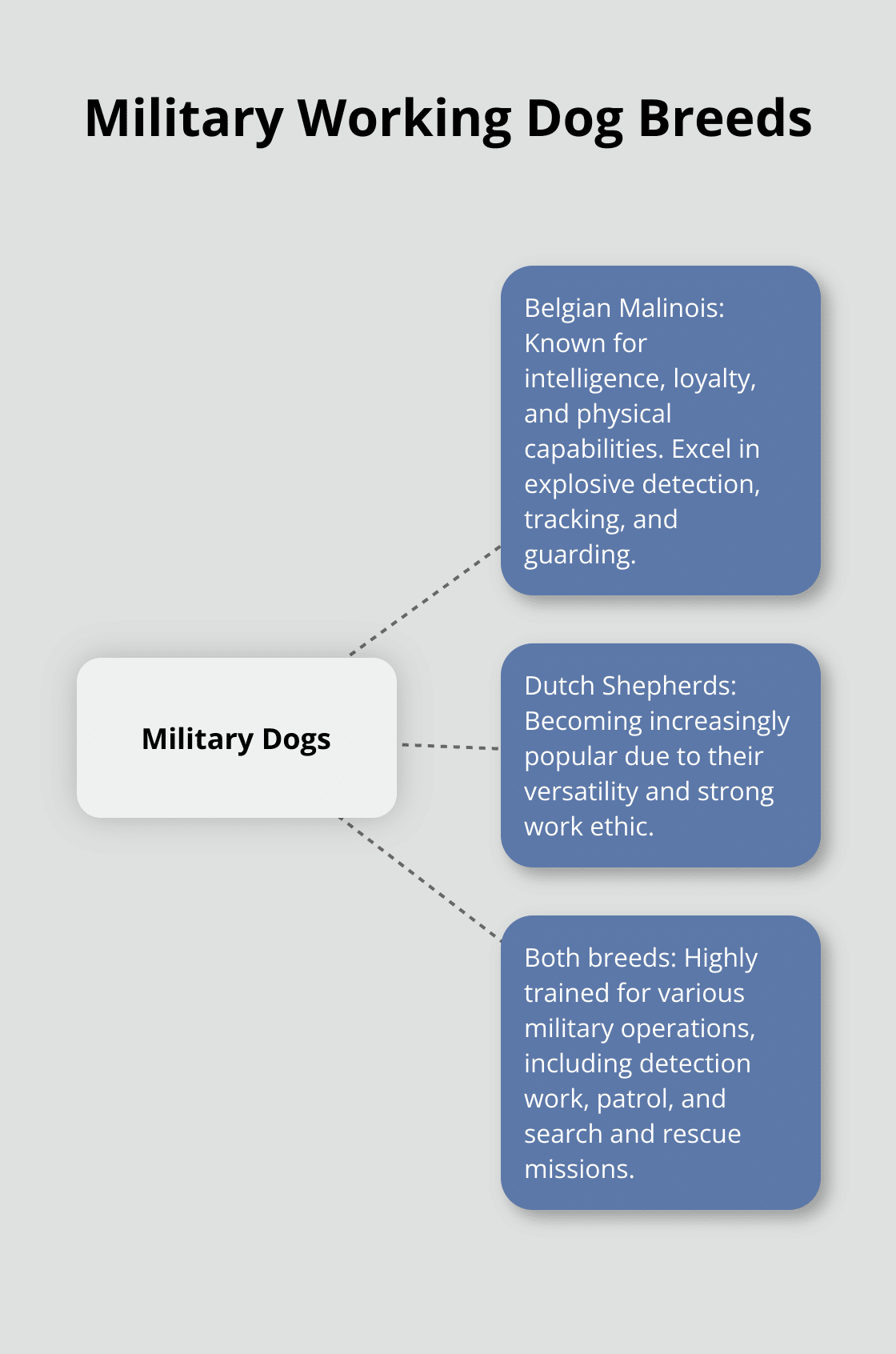 A hub and spoke chart showing the main breeds used in military service: Belgian Malinois and Dutch Shepherds, along with their key characteristics.