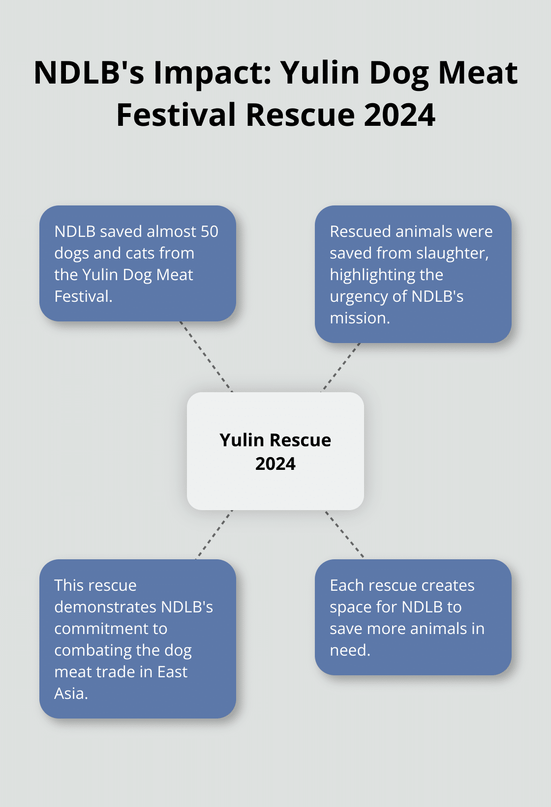 Chart showing No Dogs Left Behind rescued almost 50 dogs and cats from Yulin Dog Meat Festival in 2024, with additional context