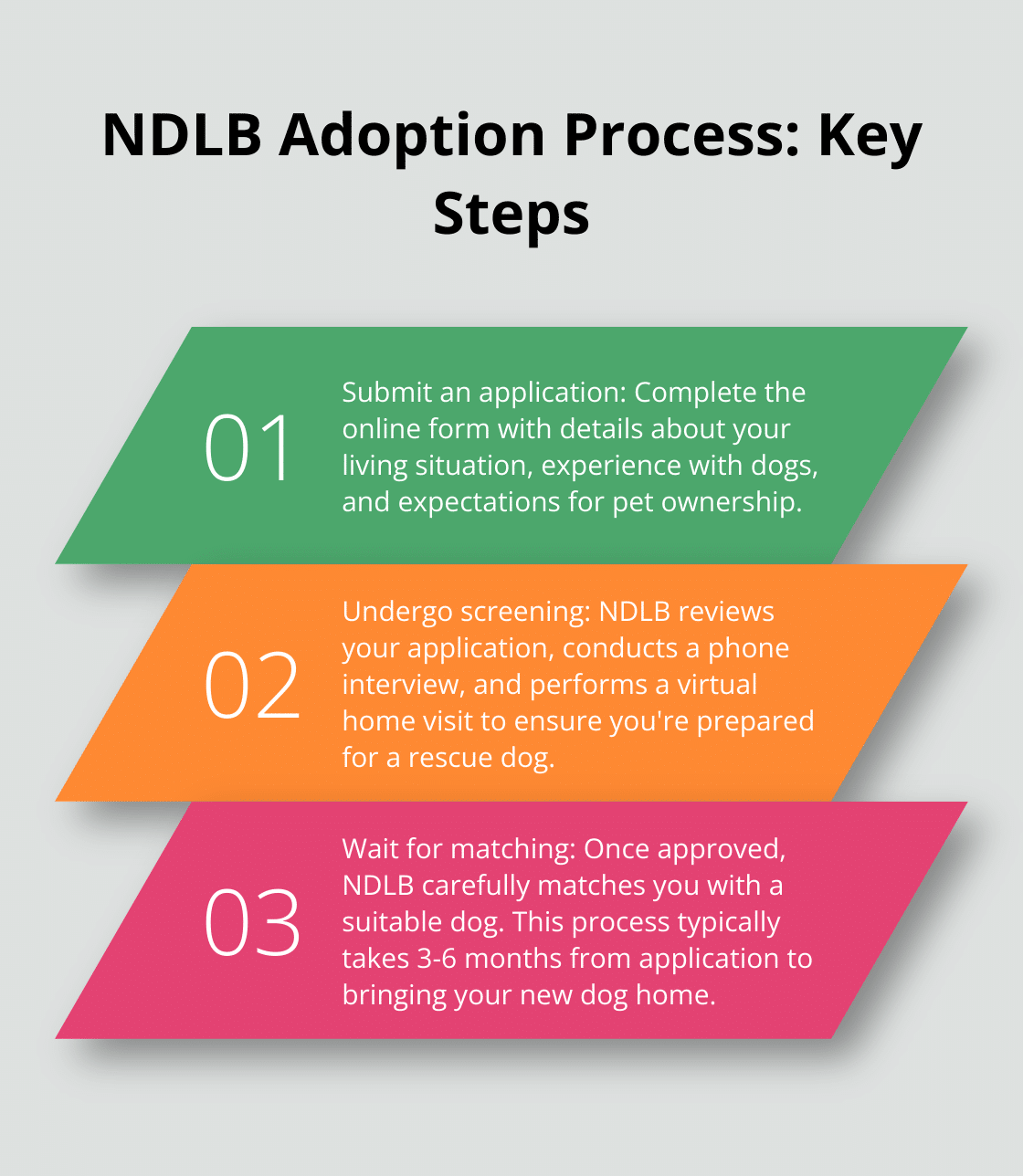 Ordered list showing three main steps in the No Dogs Left Behind adoption process