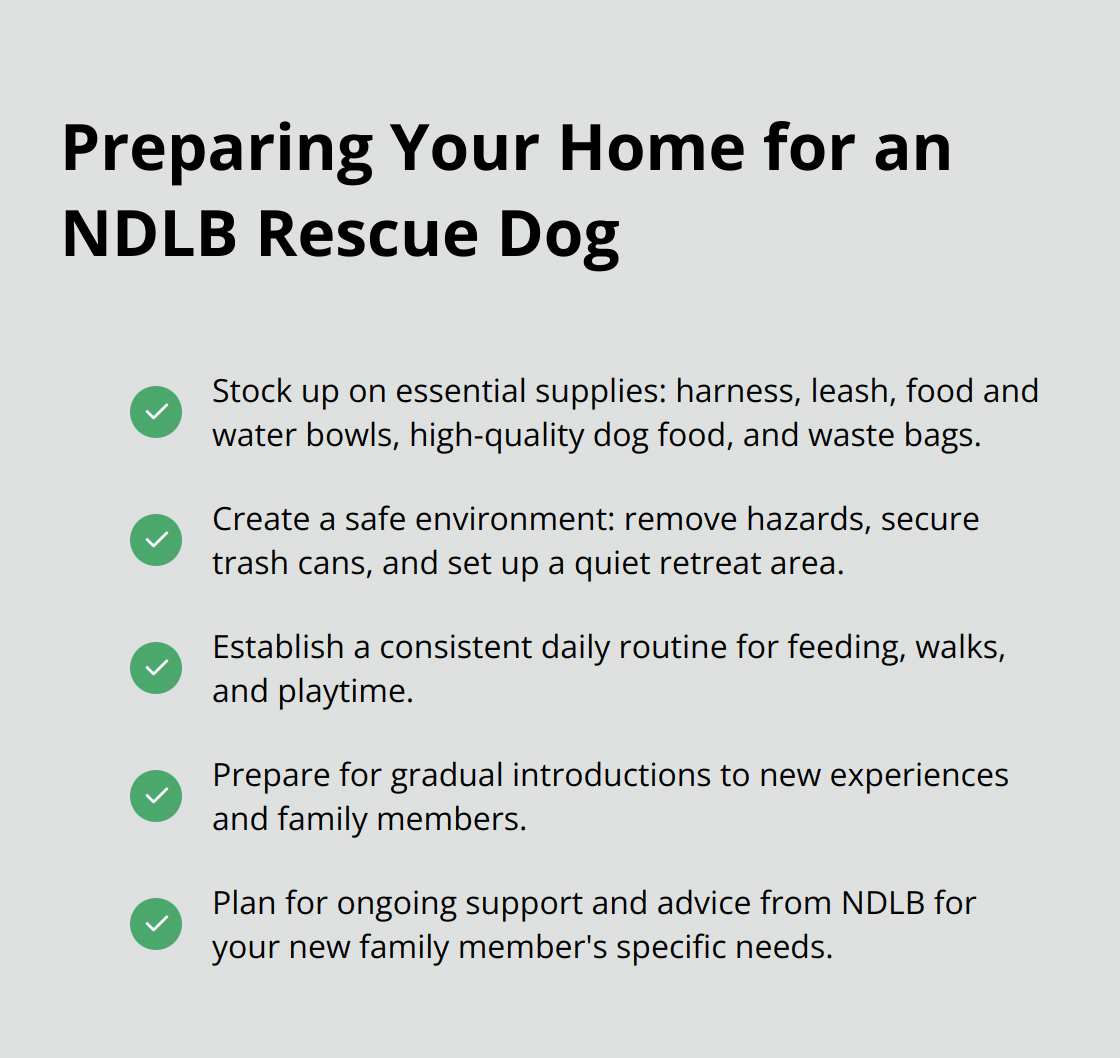 Checklist of essential preparations for welcoming a No Dogs Left Behind rescue dog - no dogs left behind adopt