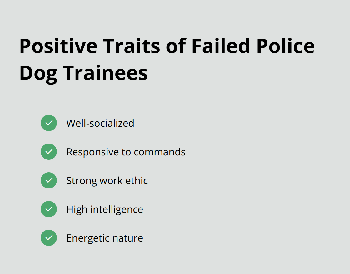 Checklist of positive characteristics found in dogs that didn't complete police training