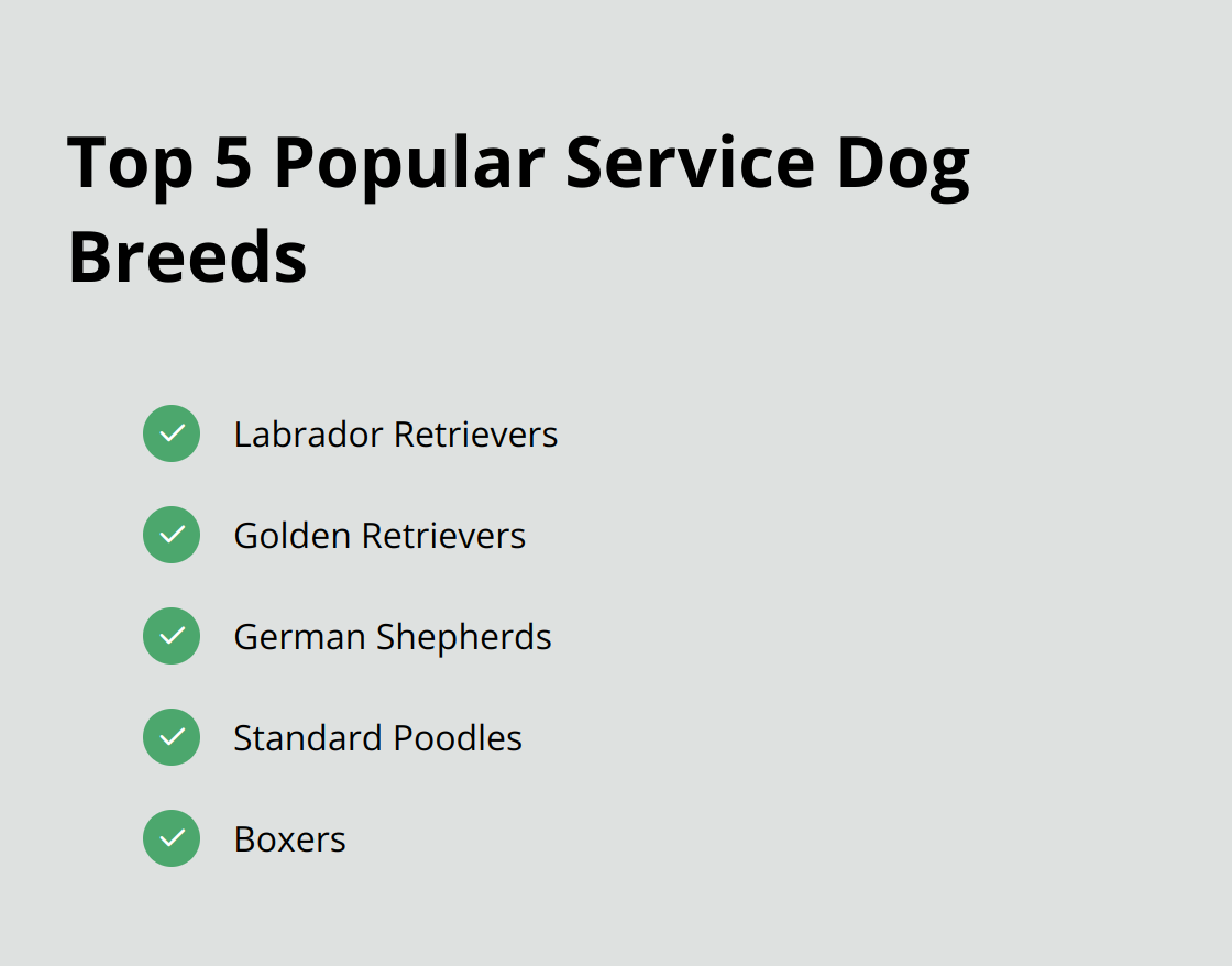 Checklist of the five most common service dog breeds: Labrador Retrievers, Golden Retrievers, German Shepherds, Standard Poodles, and Boxers - adopt former service dogs