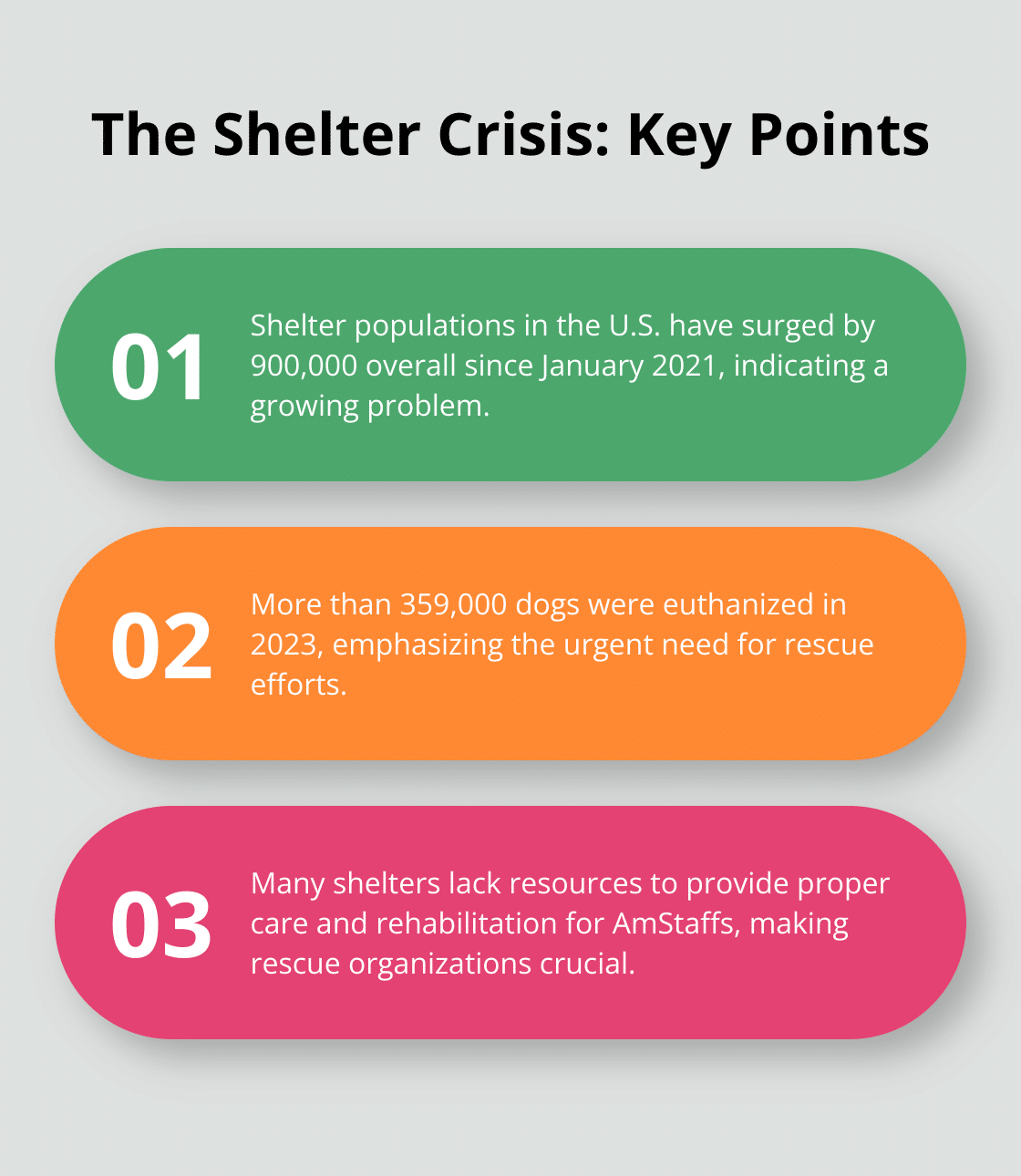 An ordered list chart highlighting three key points about the shelter crisis and euthanasia rates for dogs - american staffordshire terrier dog rescue