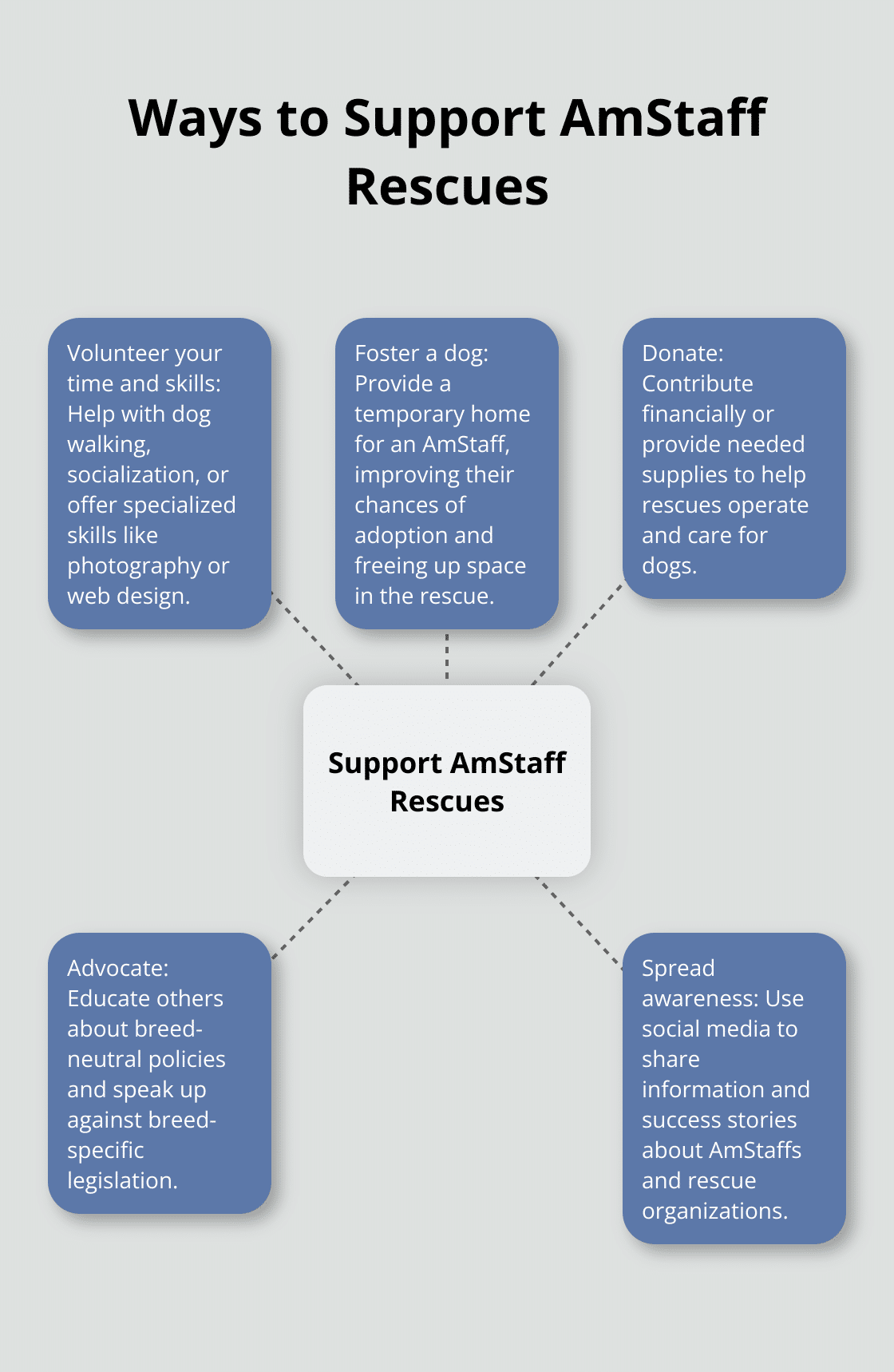 A hub and spoke chart illustrating five ways to support American Staffordshire Terrier rescue organizations - american staffordshire terrier dog rescue