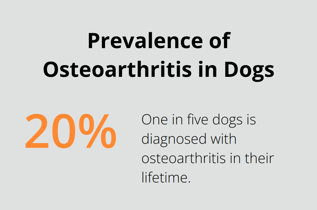 Pie chart showing that 20% of dogs are diagnosed with osteoarthritis in their lifetime. - best dogs for seniors to adopt