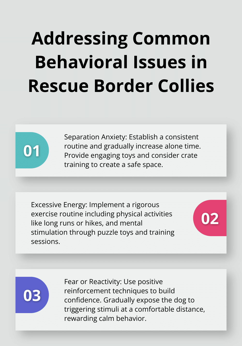An ordered list chart showing three common behavioral issues in rescue Border Collies and strategies to address them. - border collie rescue dog