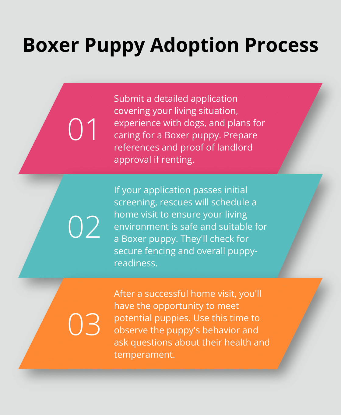 Ordered list chart showing three key steps in the Boxer puppy adoption process: Application submission, Home visit, and Meeting potential puppies