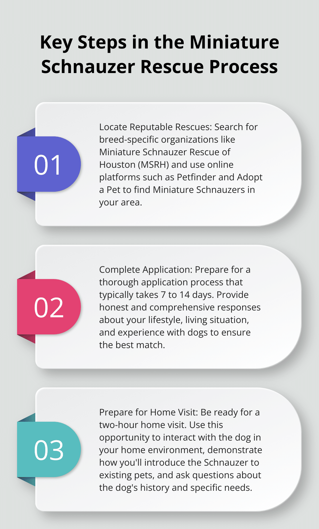 Ordered list chart showing three key steps in the Miniature Schnauzer rescue process: locate reputable rescues, complete application, and prepare for home visit - dog rescue miniature schnauzer